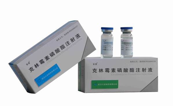 安泉—克林霉素磷酸酯注射液